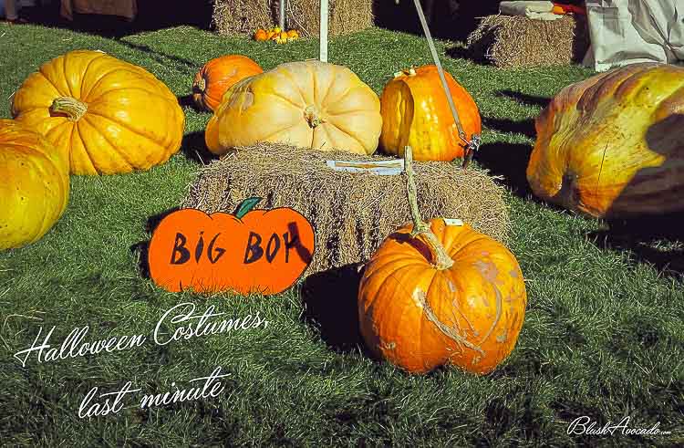 Costumes spécial Halloween