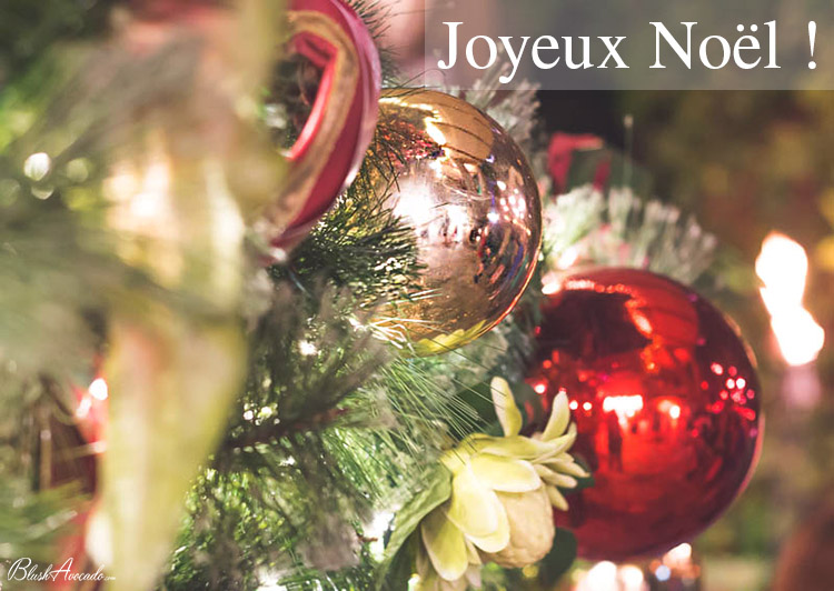 Blush Avocado vous souhaite un joyeux Noël !