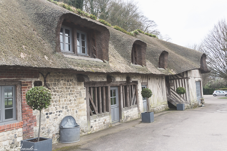 Ferme Saint Simeon 42